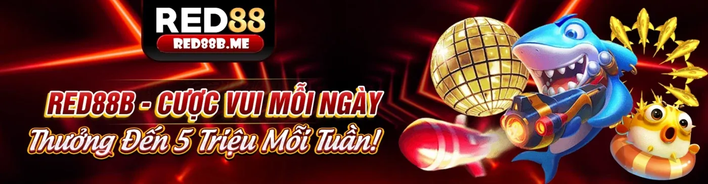 Hình ảnh đại diện trang Liên hệ ribbet chính thức